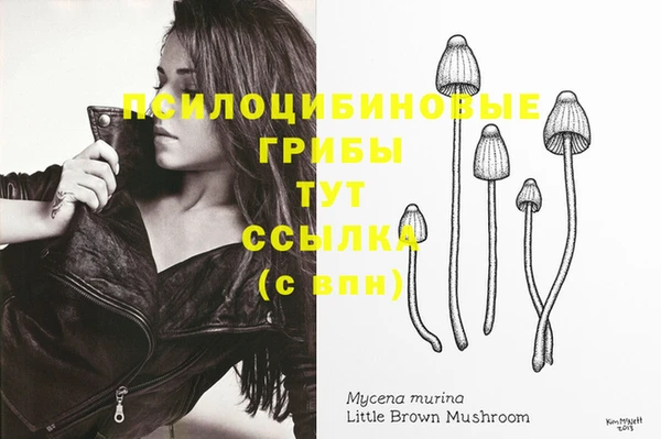MDMA Premium VHQ Армянск