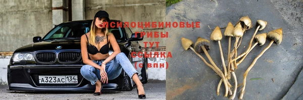 не бодяженный Аркадак