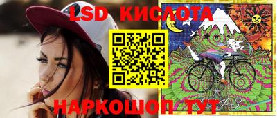 бошки Гагарин