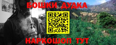 бошки Гагарин