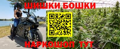 бошки Гагарин