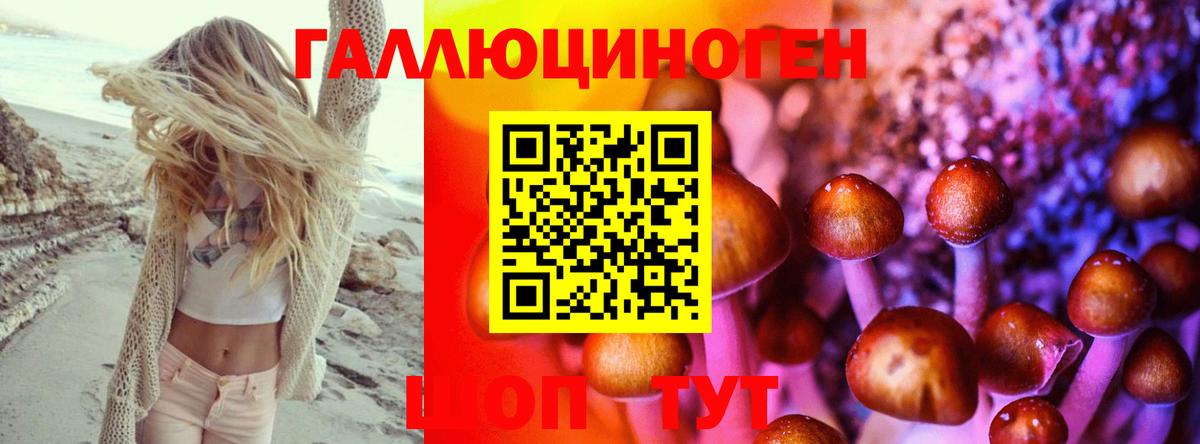 Белогорск  Псилоцибиновые грибы мицелий  даркнет сайт  Псилоцибиновые грибы прущие грибы  Вход с VPN 